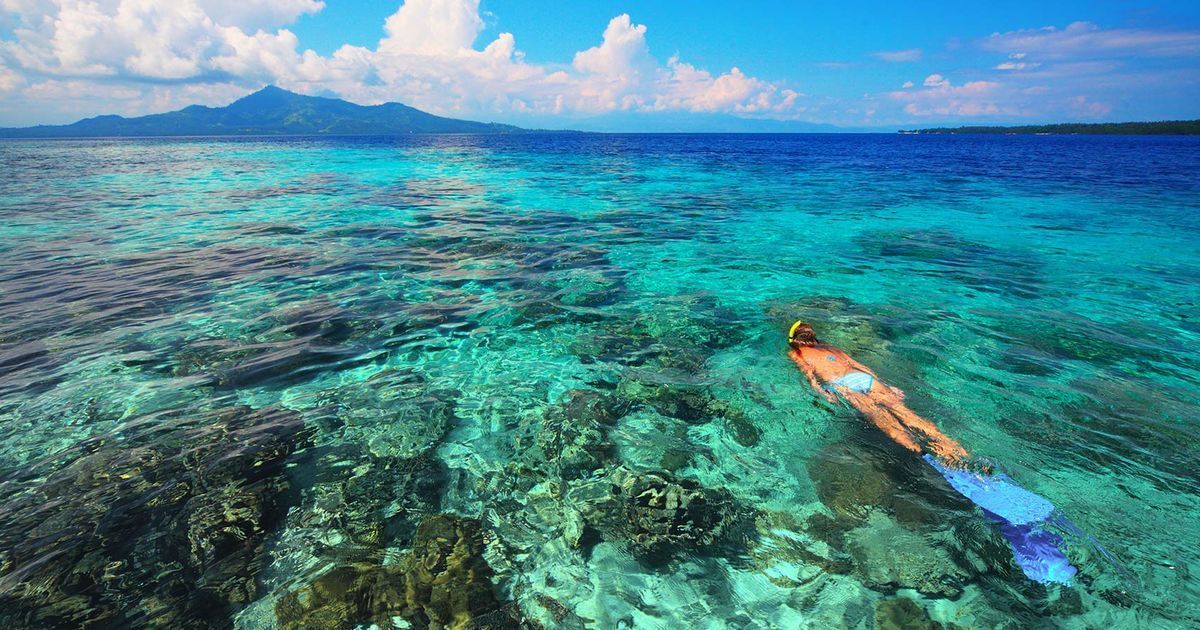 GonnaDive's tweet image. World’s 10 Best Islands for #Snorkeling
buff.ly/2H80t1w
#bestislands #divedestination