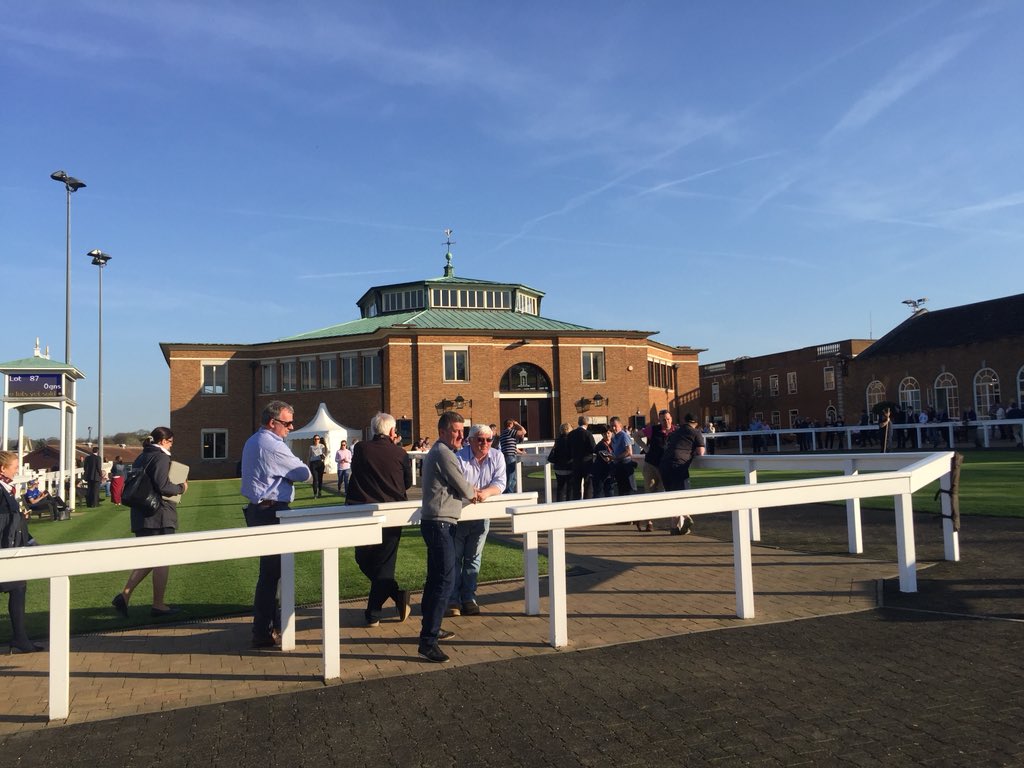 theTDN's tweet image. The sun is out, there’s horses in the pre-parade ring and there’s plenty of people about. Where else would you want to be other than @Tattersalls1766?