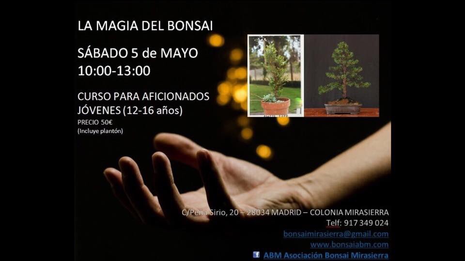 BonsaiABM's tweet photo. Quieres aprender qué es un Bonsai?
Si tienes entre 12 y 16 años y te gusta la cultura Japonesa, apúntate a nuestros cursos y aprende a hacer un BONSAI. #Bonsai #Actividadfindesemana #jovenes #Cursos 

Ponte en contacto a través de nuestro mail: bonsaimirasierra@gmail.com https://t.co/YDE4IJ3WrY