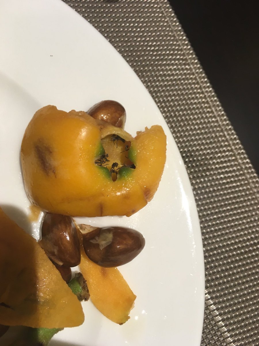 WeirdGear tweet media