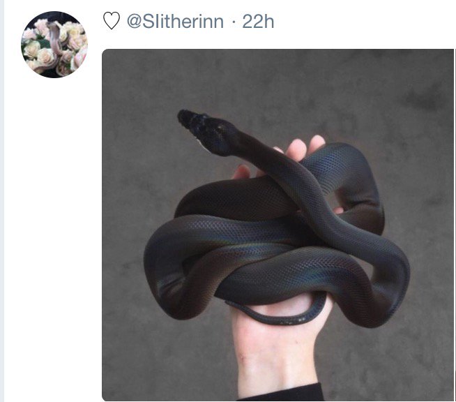 Light relief in my timeline when I first joined Twitter versus light relief today.