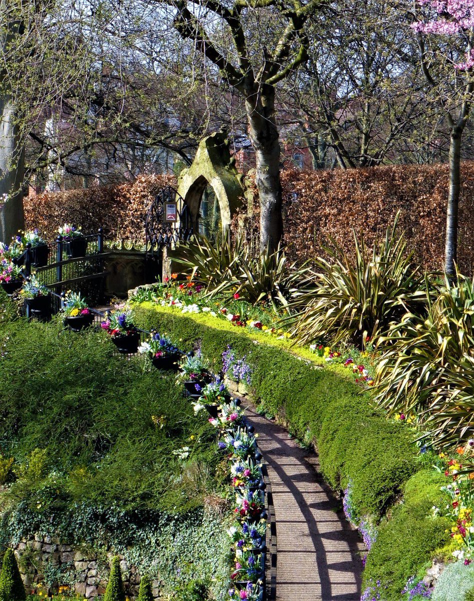 What a lovely day in the Quarry Park today lots of people out enjoying the sun.#Shrewsbury #Shropshire #daffodilmonth