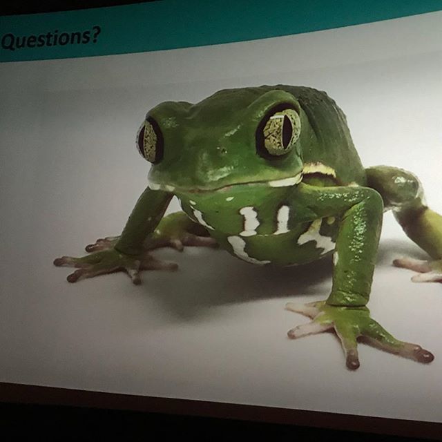 Dolf_DeJong's tweet photo. Learning from some of the best @vanaqua on how to successfully rear aquatic animals! Breeding, Growing & releasing #northernleopardfrog & #oregonspottedfrog to #habitats in #bc https://t.co/HkBWT085Q7 https://t.co/BKHywYa6nG