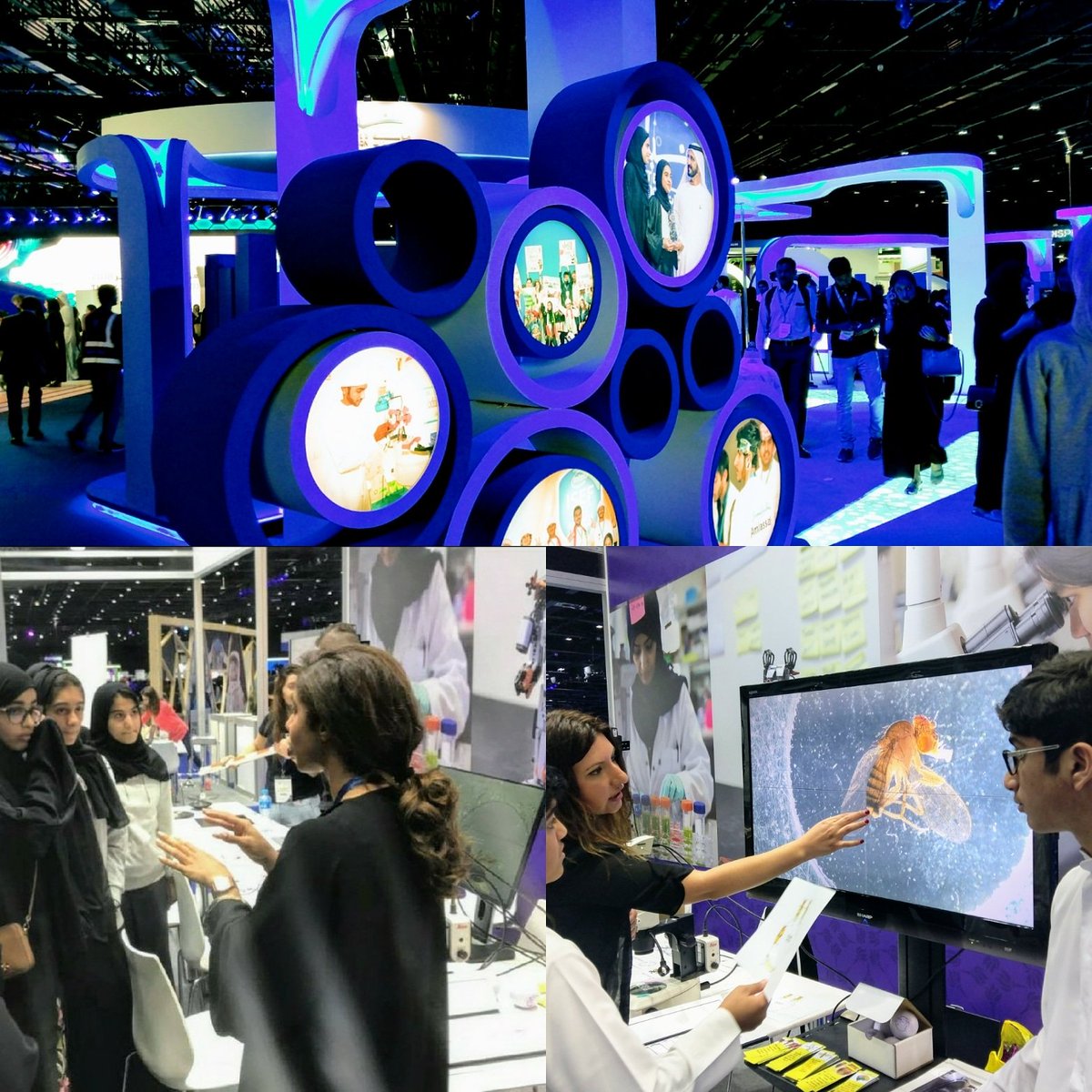 nyuadcgsb's tweet photo. Great festival all around @ThinkScience_EF ! Thank you to @EFYouth for the inspiring event, to the @nyuad team for their effort, and to our participants for their enthusiasm! Until next time!#nyuad #nyuadcgsb #thinkscience_ef #emiratesfoundation https://t.co/5UV5g1Sc7X