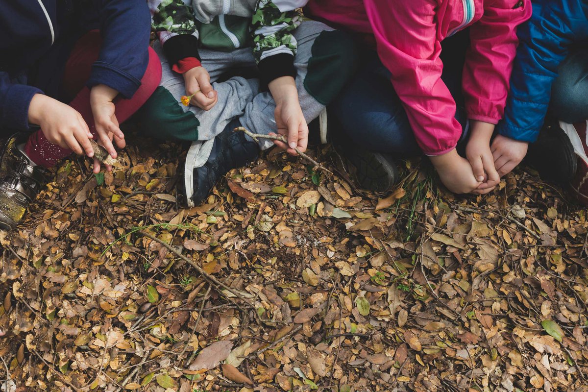 Come novelli #esploratori anche i #bimbi della #scuola dell'infanzia di #Nociglia hanno attraversato il #boschetto Maramonte, preziosa #lecceta dei Paduli, riportando le loro scoperte tra le colorate pagine del loro #erbario. #Salento #laboratori #ambiente  
Ph. F. Buccarelli