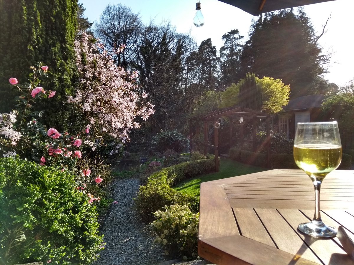 Great evening at home.