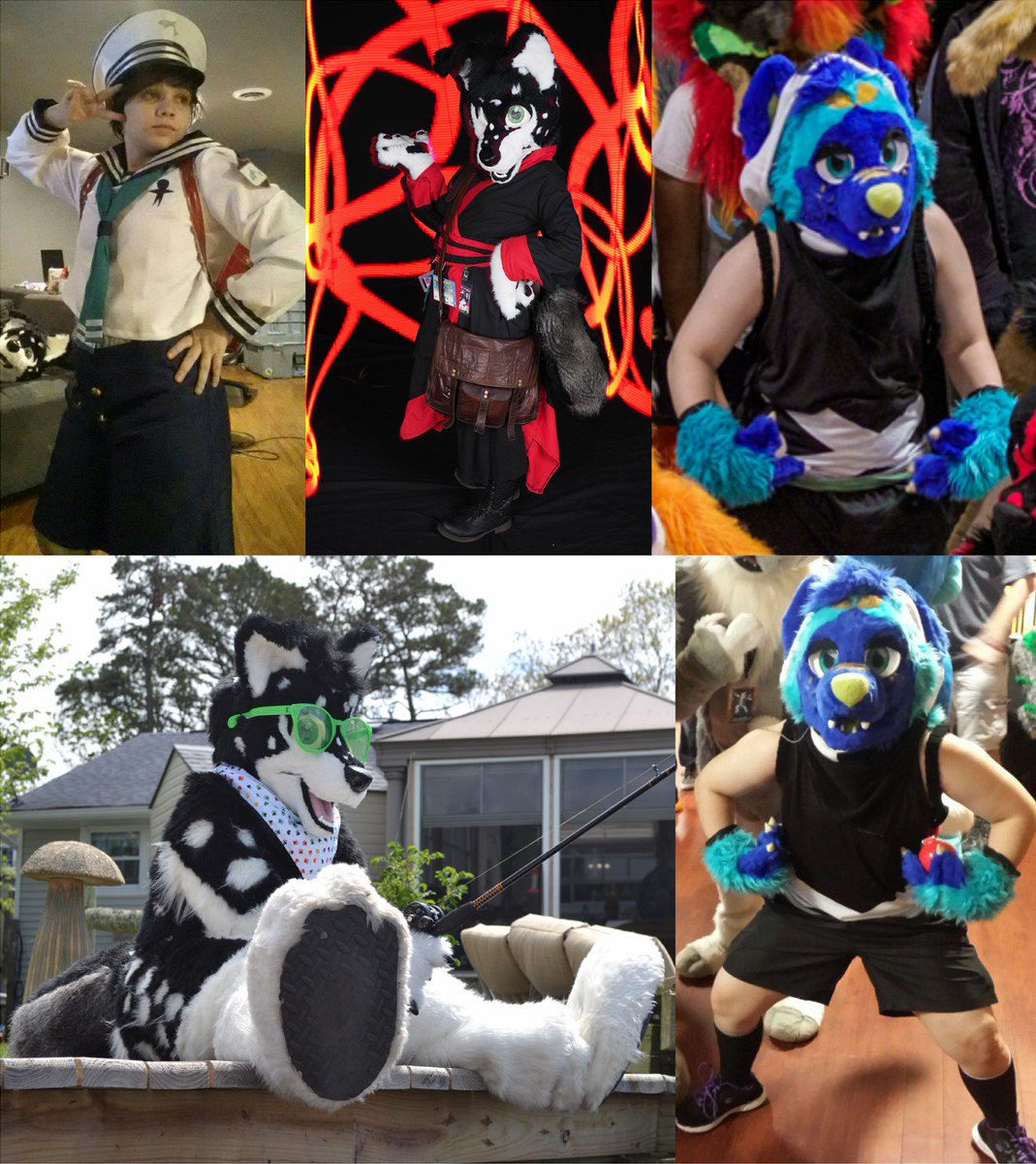 PrincelyPomsky's tweet photo. How to find me at @furthemore ! #furmore18 #FTM18 #furthemore #fursuit https://t.co/RlzdaiEs08