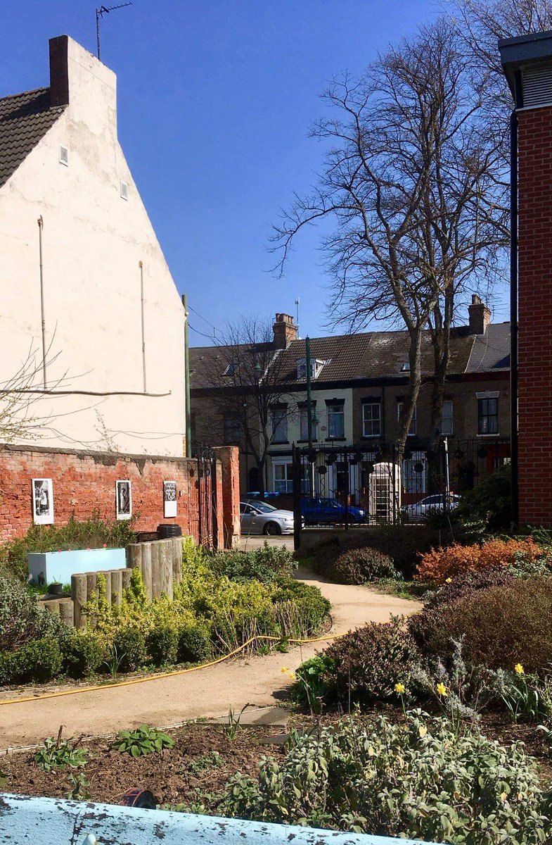 GroundworkHull's tweet photo. Beautiful day @westernlibrary volunteer #Vacancyoftheweek #gardenangel if you want to help out get in touch #growingstandrews #growyourlibrary @hull_libraries @HCCRiverside @NNetworkHull @Hull2020 @TimeBank_HER https://t.co/CgoR3FdUH6