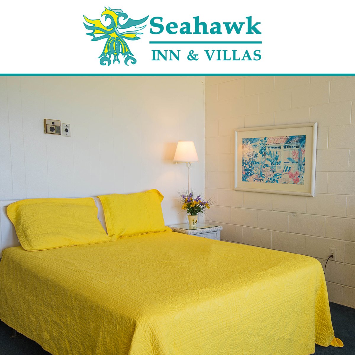 SeahawkInn's tweet image. #SeahawkInn rooms are non-smoking and have refrigerators, coffee makers, balcony or patio. WiFi extends all over the property, as well as in all the rooms. In addition, we have designated pet friendly rooms with a daily $15 fee. Call us on (252) 726-4146 to book your stay.