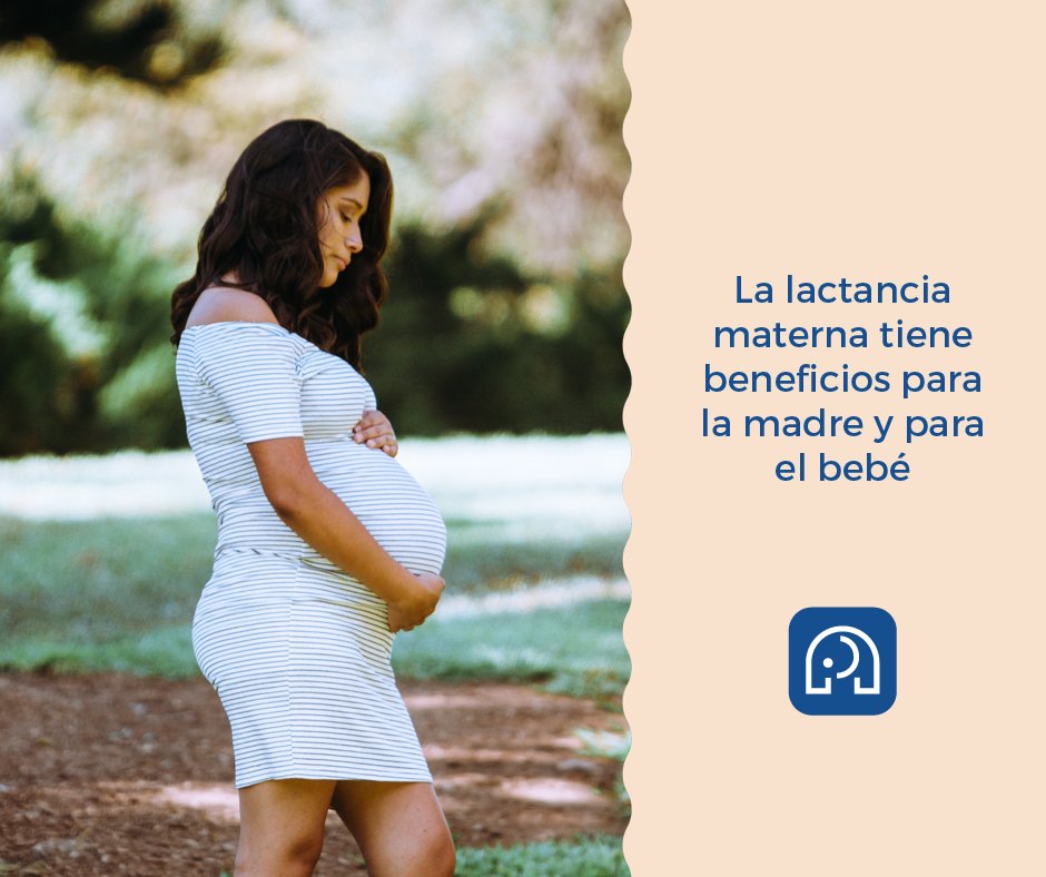 Amantamx's tweet photo. La #LactanciaMaterna ayuda a proteger al bebé de enfermedades y alergias mejorando su sistema inmunológico. Además ayuda a la madre a recuperarse del parto más rápidamente y previene la #DepresionPostParto.
#ComunidadAmanta https://t.co/POAN4mnuob