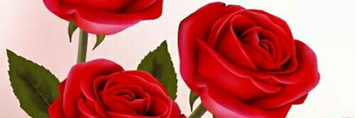 Hement_12's tweet photo. #tmwkiyakya 3rd wicket gaya

@Usha512  
@Jeay501
@anusha1993_  
@rakhi265
@rakhi267  
@Mahirai6
@jeevan612  
@Anuu_23   
@JohnyBoy_19 
@Vinod_197 https://t.co/oCvzkvslcT