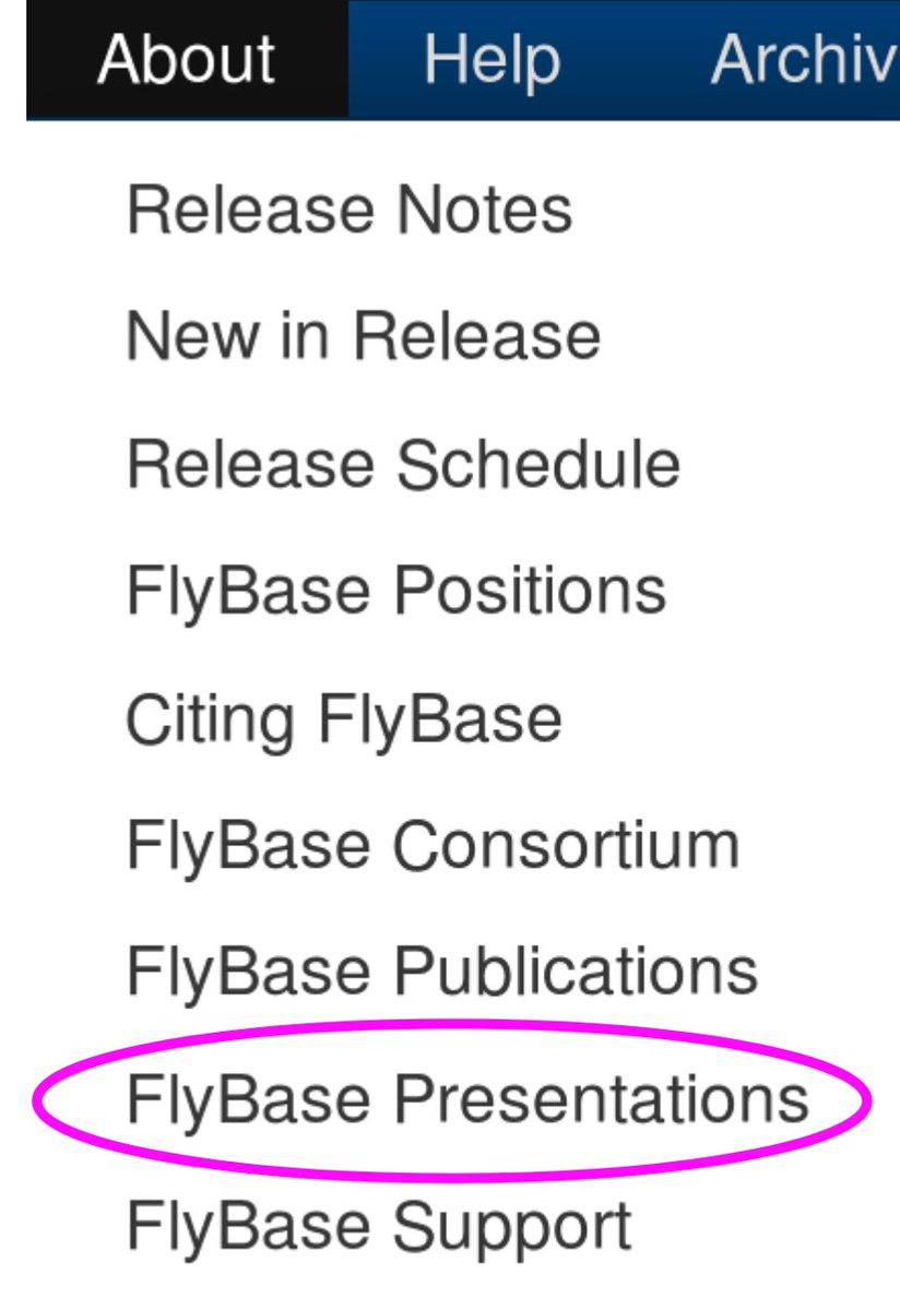 FlyBaseDotOrg's tweet photo. Didn't make it to the FlyBase demo room at #DROS18? You can still see our presentations, pamphlets, and posters for this (and other) meetings at the FlyBase Guides page https://t.co/mpXJoA5k9M, accessed from the FlyBase toolbar: About>Presentations. #FlyBaseTips https://t.co/VhalFCHUWI