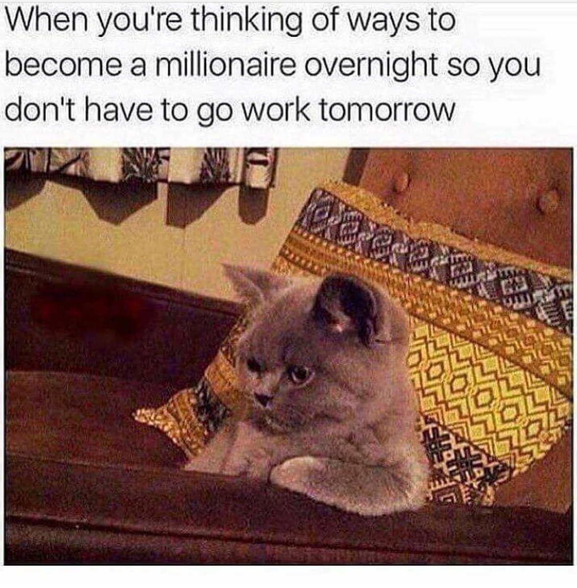 _ThisIsAnna_'s tweet photo. Why is this me https://t.co/56Upphwuls