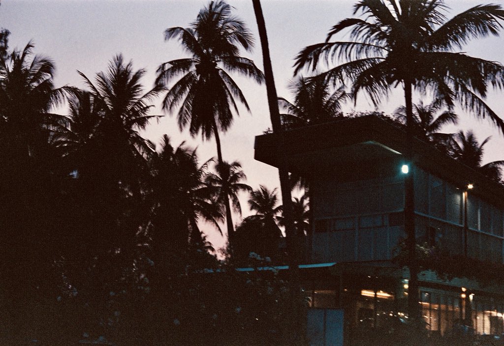AUNNADUCES's tweet photo. ☀️🌴 #aunnaducesfilm https://t.co/68qyOWZVCb
