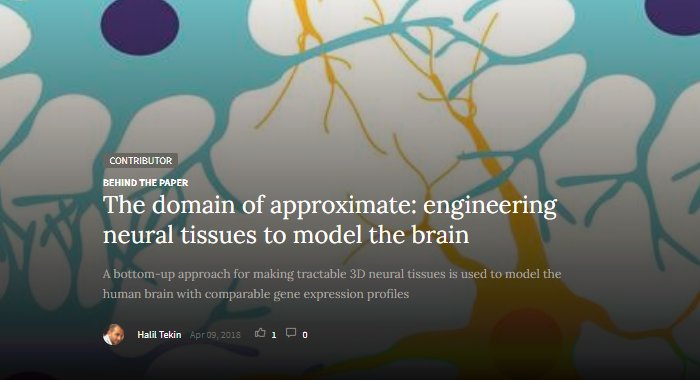 natBME's tweet photo. Engineering neural tissues to model the brain
#InTranslation
https://t.co/64ktrp3DTT
https://t.co/d0d1Xr3jBw [Paper] https://t.co/Fd6yl6Ispa