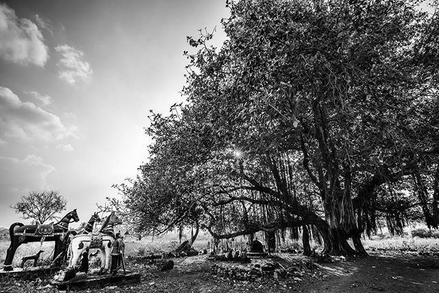 ayashok's tweet photo. #monochrome #blackandwhitephoto #ayashok #Photography #India #Nikon https://t.co/gZFBfLJIZq