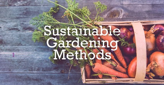 MarkHaw1102's tweet photo. 5 Sustainable Gardening Ideas to Keep Your Garden Green - https://t.co/glh29aJ6T9 https://t.co/ermu5qRTYU