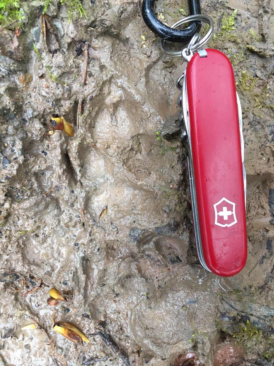 Alastair H-R | Tracker Al tweet media