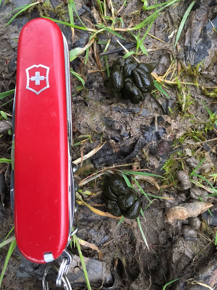 Alastair H-R | Tracker Al tweet media