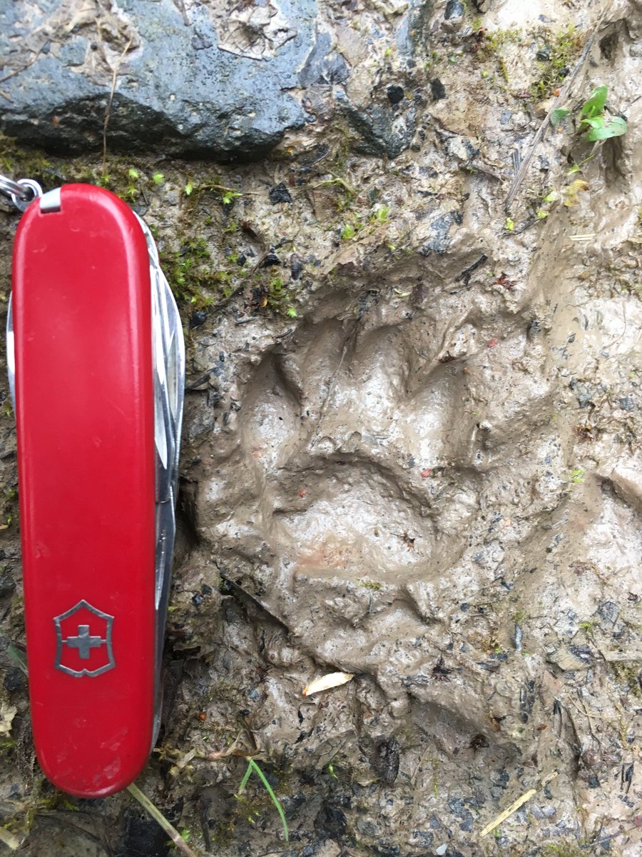 Alastair H-R | Tracker Al tweet media