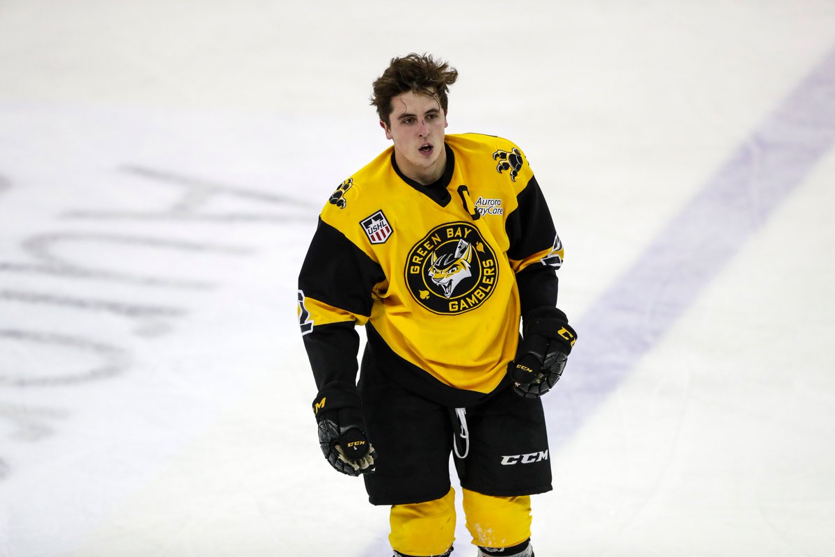 Green Bay Gamblers tweet media