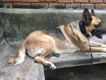 Ver imagen en Twitter