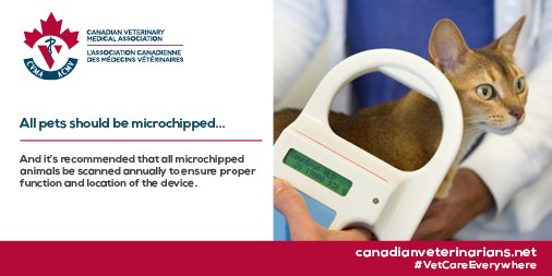 ManitobaVets's tweet photo. All pets should be microchipped and it’s recommended that all microchipped animals be scanned annually to ensure proper function and location of the device. #VetCareEverywhere https://t.co/lyS8yE88xy