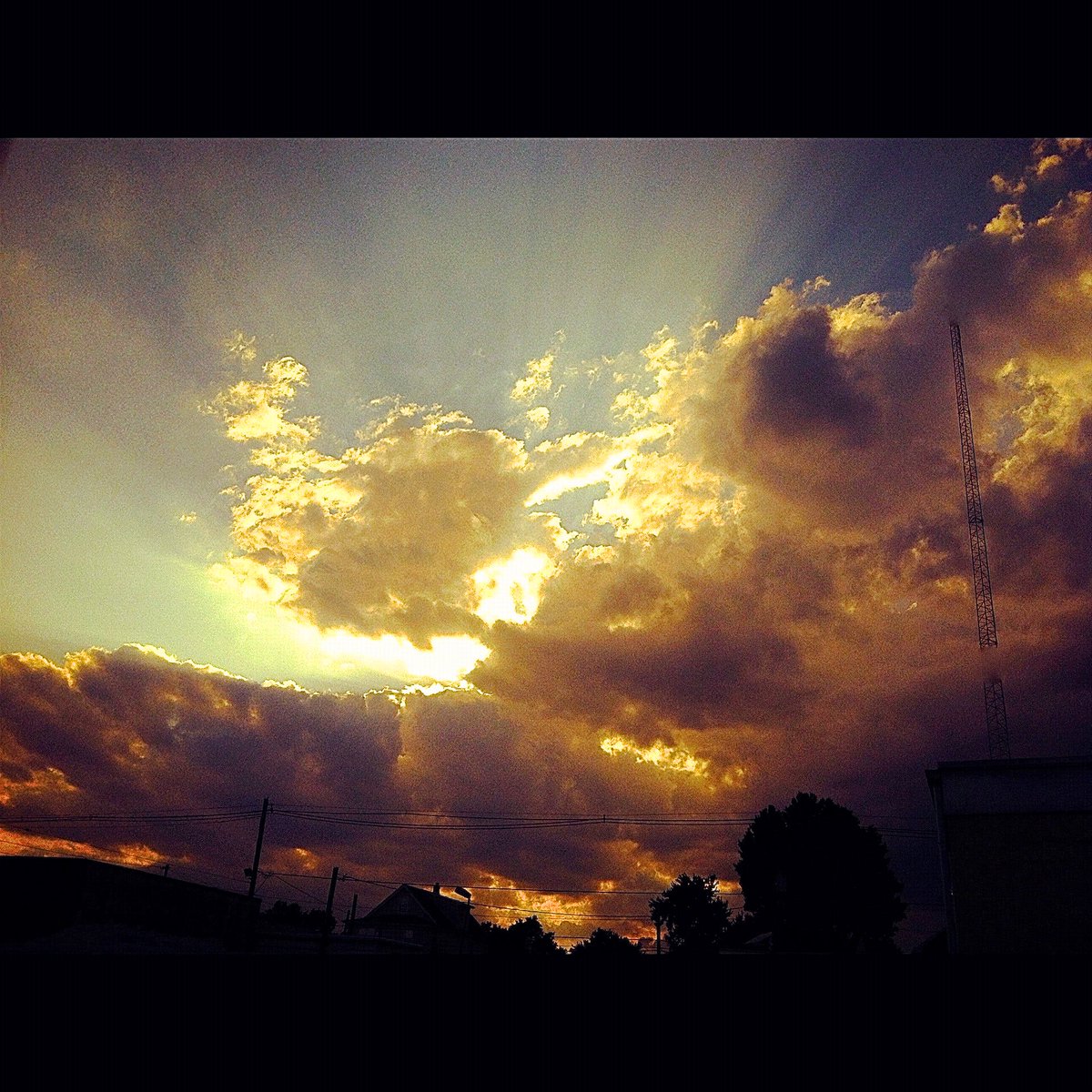 LifeOptions1 tweet picture