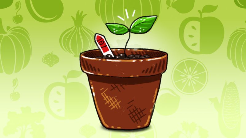 sprout_city's tweet photo. Thinking about starting your own garden but don't know where to start? Check out this list of easy vegetables to care for if you're a beginner gardener!

https://t.co/vZAJbVsFgR https://t.co/98ibDSRnT9