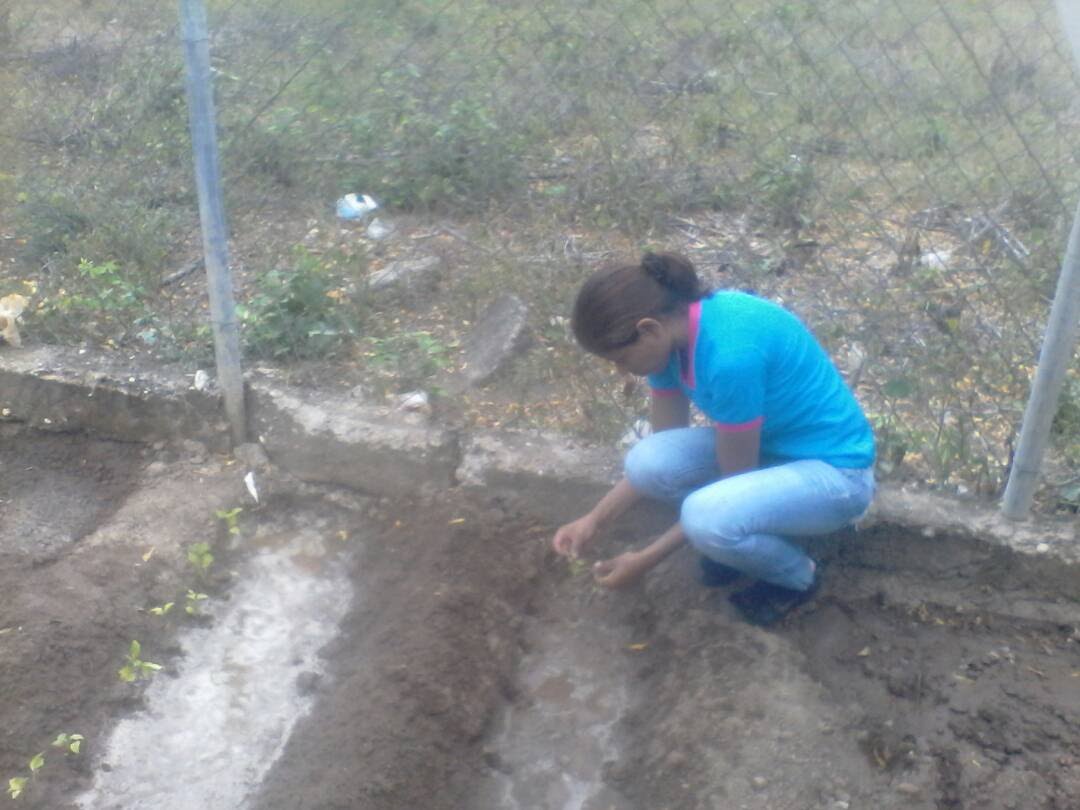 U.E. El Rosario tweet media