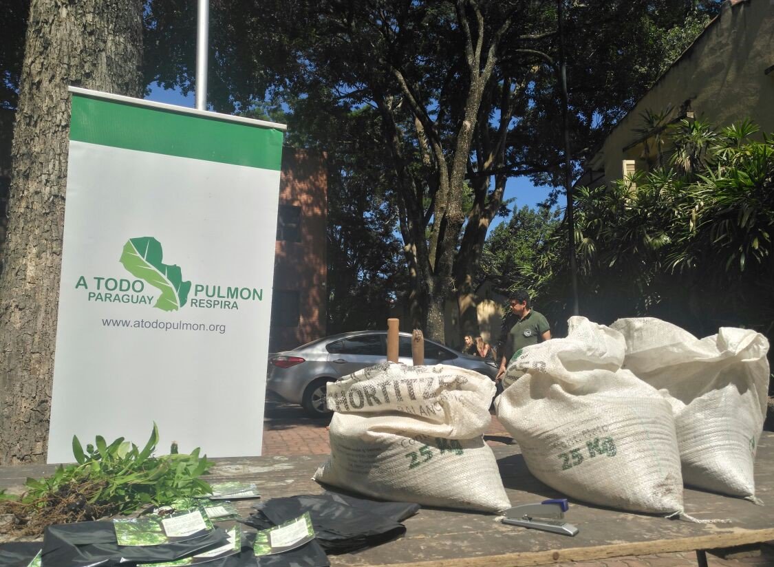 atodopulmonPY's tweet photo. La @UCPy lanzó la campaña “Adoptemos una Vida” gracias a los árboles de Yvapovo que florecieron en sus jardines.
Se pusieron en contacto para aprender los detalles técnicos de la especie, y sus cuidados, así se encargan del rebrote para hacer crecer sus plantines. #InfoDelDia https://t.co/5yccAkPBwQ