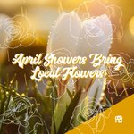 Photo by ShopRedDeer.com (@ShopRedDeer)