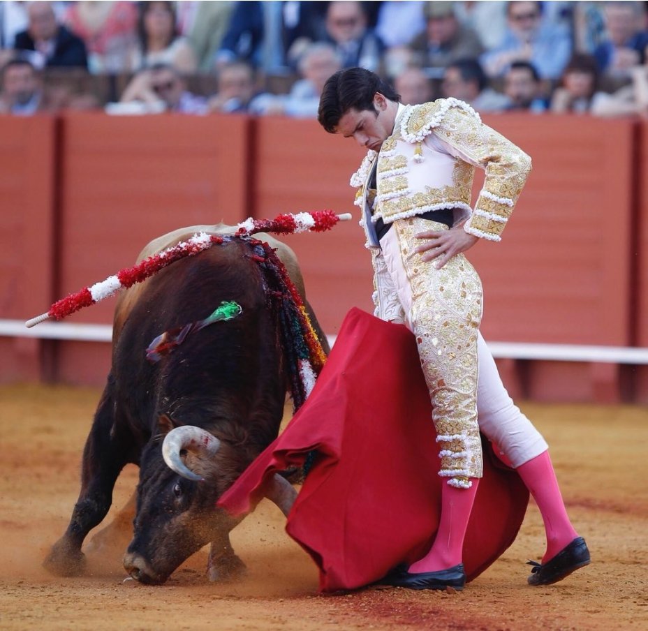 Indignante la falta de criterio de la presidenta hoy en Sevilla al no concederle la oreja a mi compañero @garridojm, además de haber una clara mayoría de petición!
Hace falta más sensibilidad, señora...
#elmundoalreves