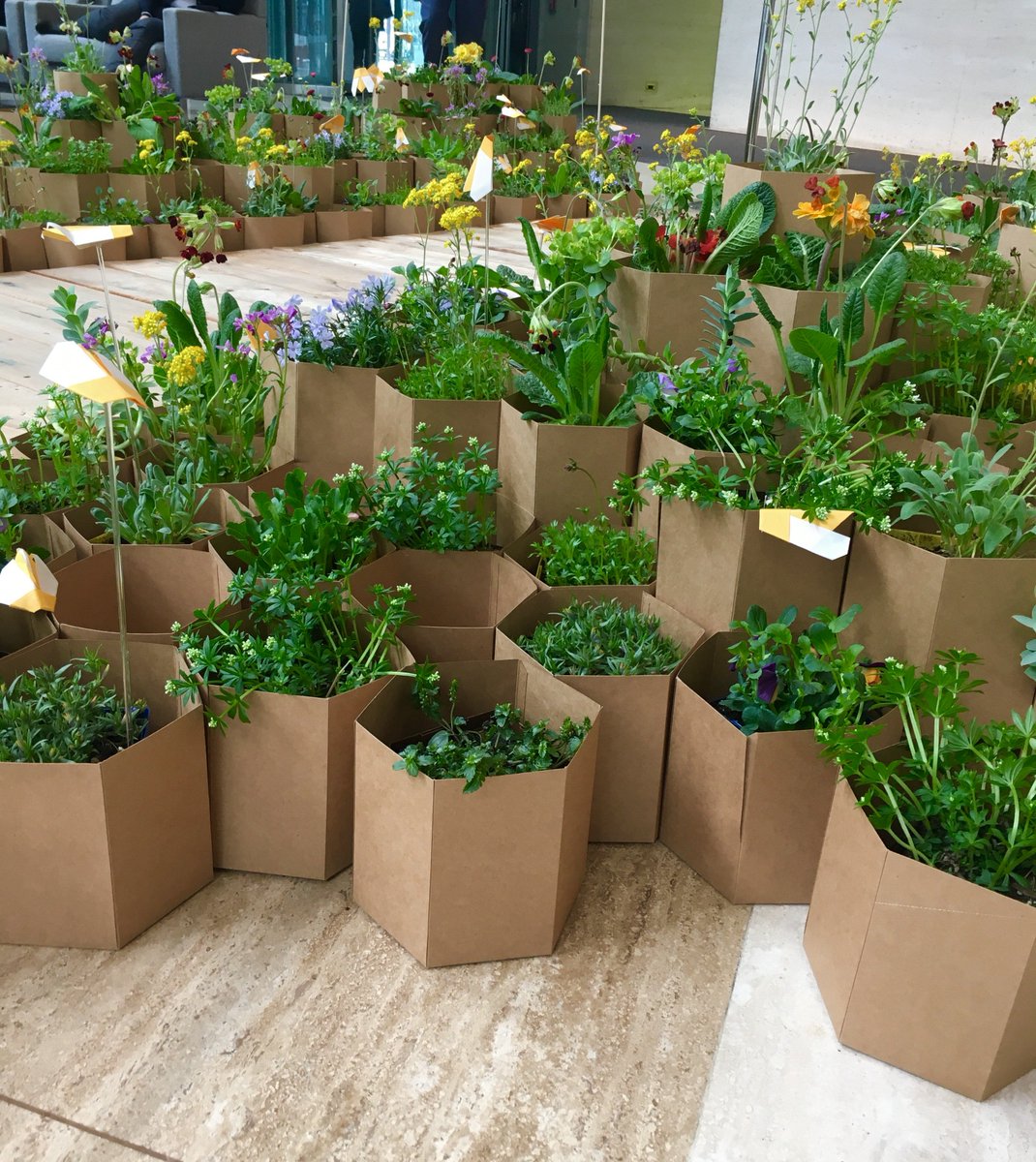 CreateTO tweet media