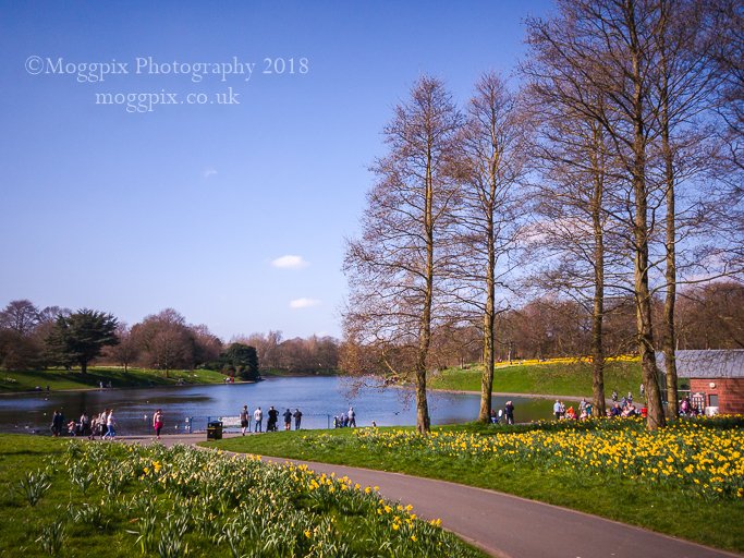 Vault NW (vault_info) Twitter