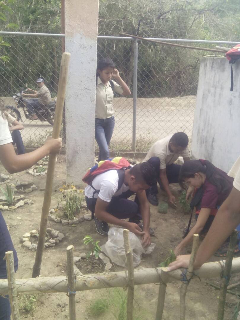 U.E. El Rosario tweet media