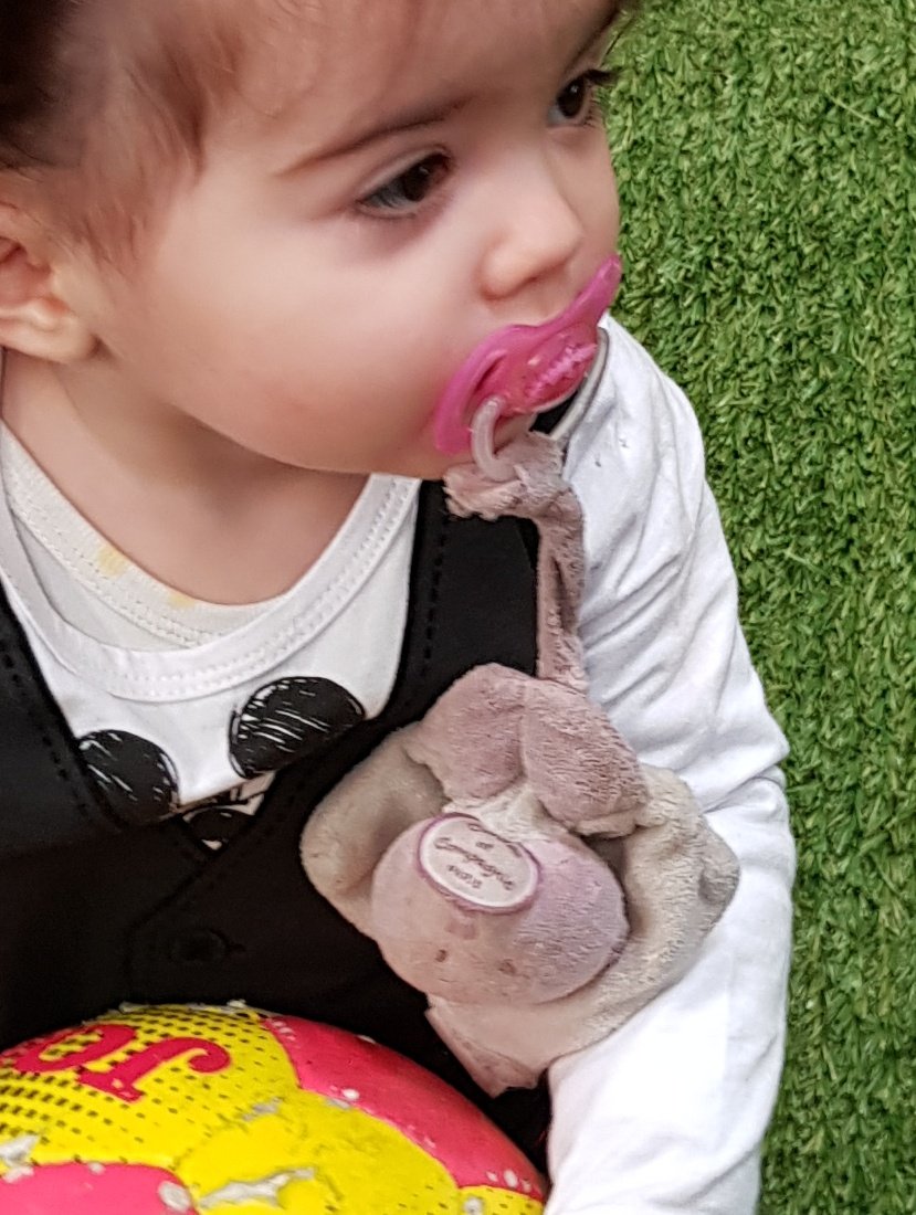 Perdu ce jour à Margencel (74), un doudou et sa tototte, violet et rose... Si vous le trouvez, vous rendrez le sourire à une petite fille toute malheureuse ce soir... 😞 Merci pour elle. RT apprécié... <a href="/sos_doudou/">Oùkilé mon doudou ?</a>