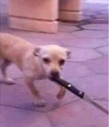 cyAn nO VOY A PERMITIR QUE ESO TE PASE A TI TAMBIEN