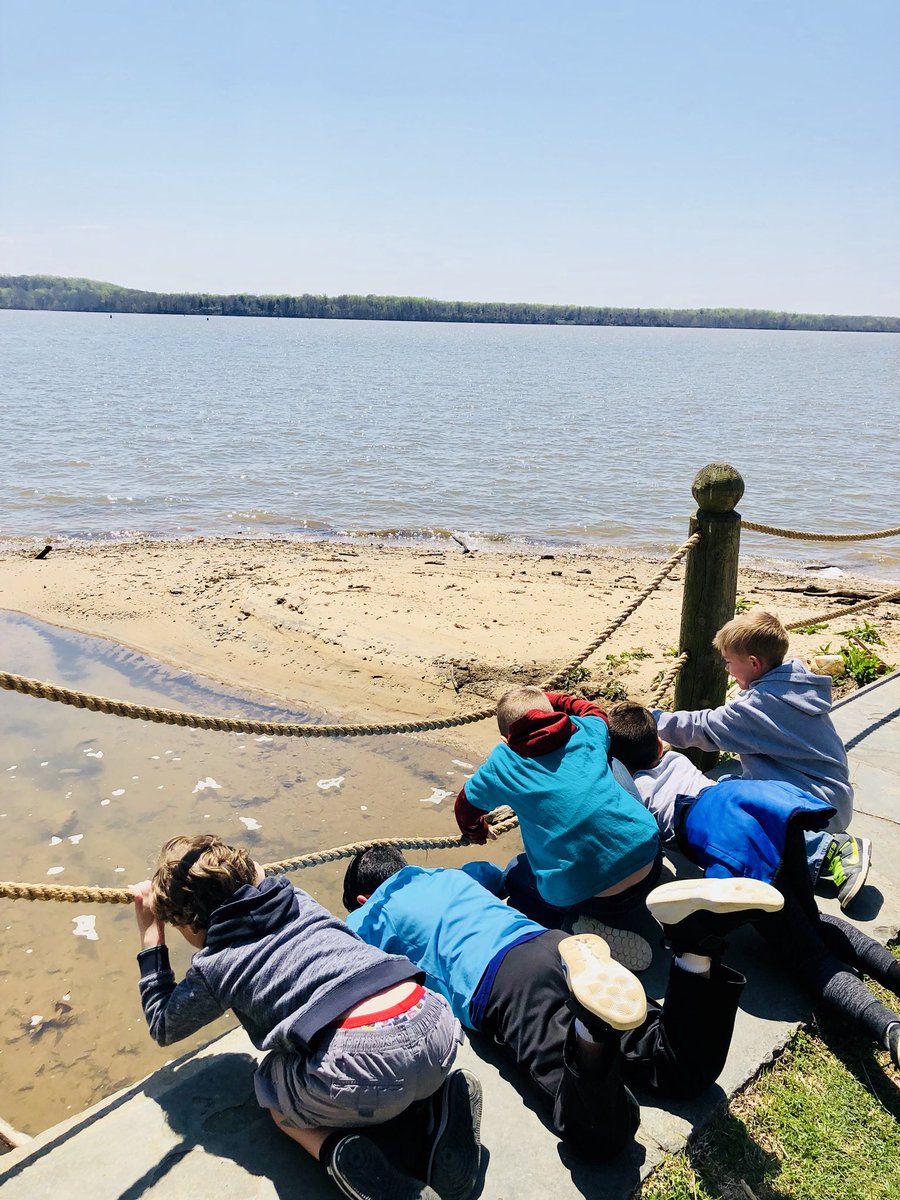 DiDurosClass's tweet photo. Field trip fun on this beautiful day 💜 https://t.co/glHP7Yecth