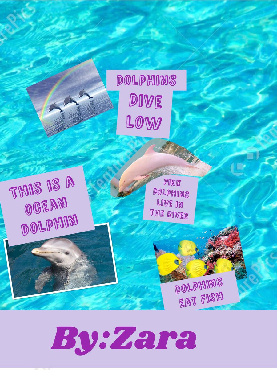 michelleg2015's tweet photo. 2nd graders choose apps for their water projects #piccollage #puppetedu #tellagami @kbeckr https://t.co/JB9qu79sk5