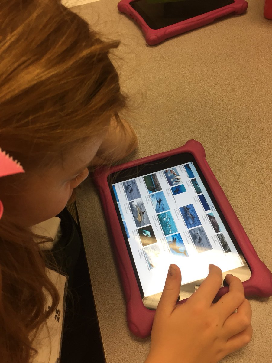 michelleg2015's tweet photo. 2nd graders choose apps for their water projects #piccollage #puppetedu #tellagami @kbeckr https://t.co/JB9qu79sk5