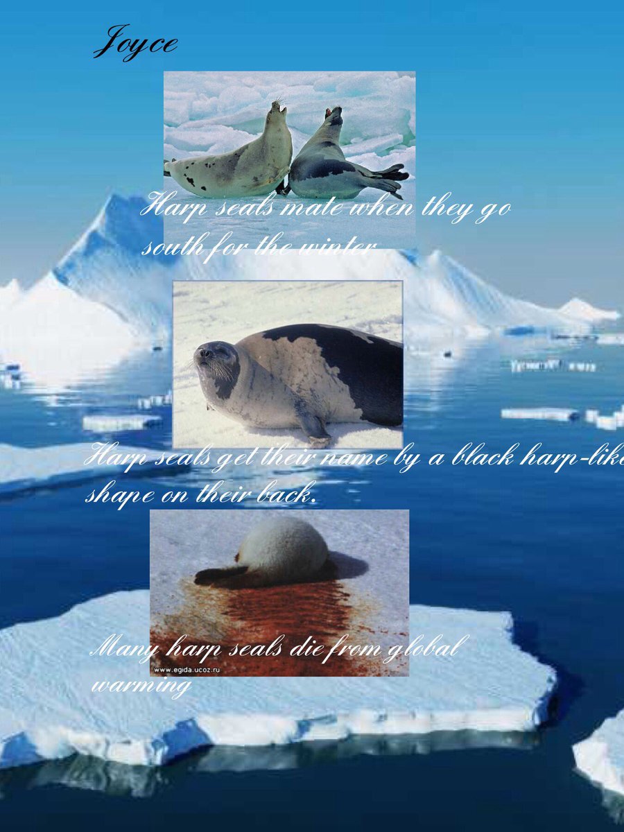 michelleg2015's tweet photo. 2nd graders choose apps for their water projects #piccollage #puppetedu #tellagami @kbeckr https://t.co/JB9qu79sk5
