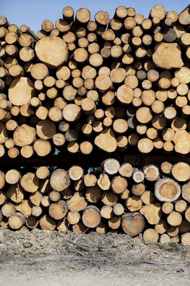 EmmanuelMacron's tweet photo. La France a une des plus grandes forêts d’Europe mais importe du bois pour construire : c’est donc qu’il y a un problème !
On doit réorganiser la filière, elle créera beaucoup plus d’emplois. https://t.co/CBK4px37vh