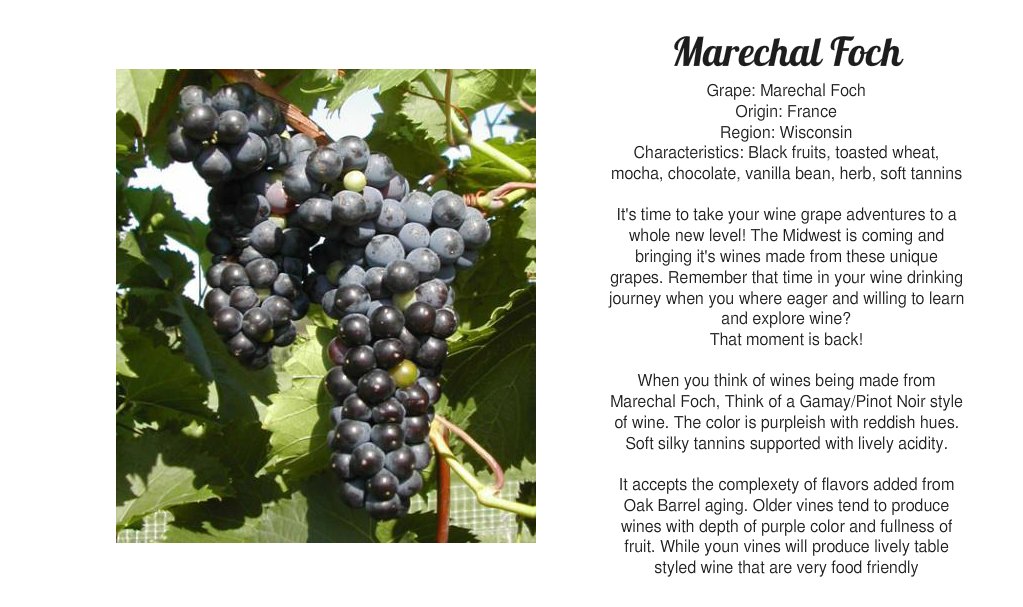 VinoDiscoveries's tweet photo. Day 6 Get To Know The #WisconsinWines and #WisconsinGrapes #LetYourPalateBeTheGuide #WisconsinWineGuy #WisconsinWineTalk #wine #winelover #winetasting https://t.co/ibxpxL2LzN