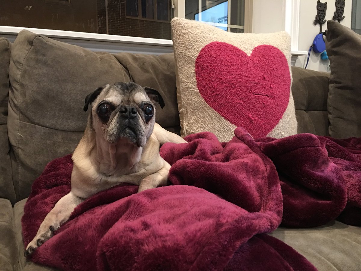 This is my favorite blankie.