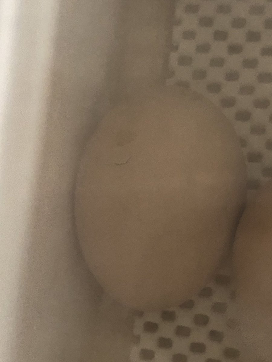 Chicks are preparing for hatching! We had our first pip this morning! Here’s to the waiting game