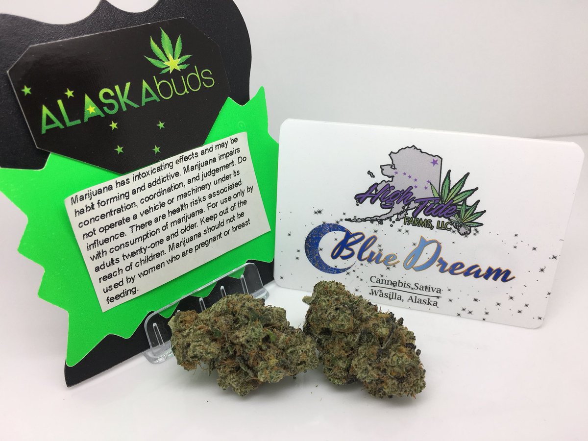 Alaskabuds's tweet photo. It’s all about the Dream https://t.co/Yx9YfinYIN