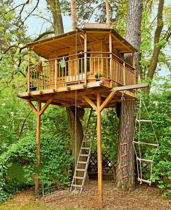 woodarchivist's tweet photo. DIY Treehouse - Children's Outdoor Plans https://t.co/AxmppLFqwd #Woodworking https://t.co/7DyEX0e0u3