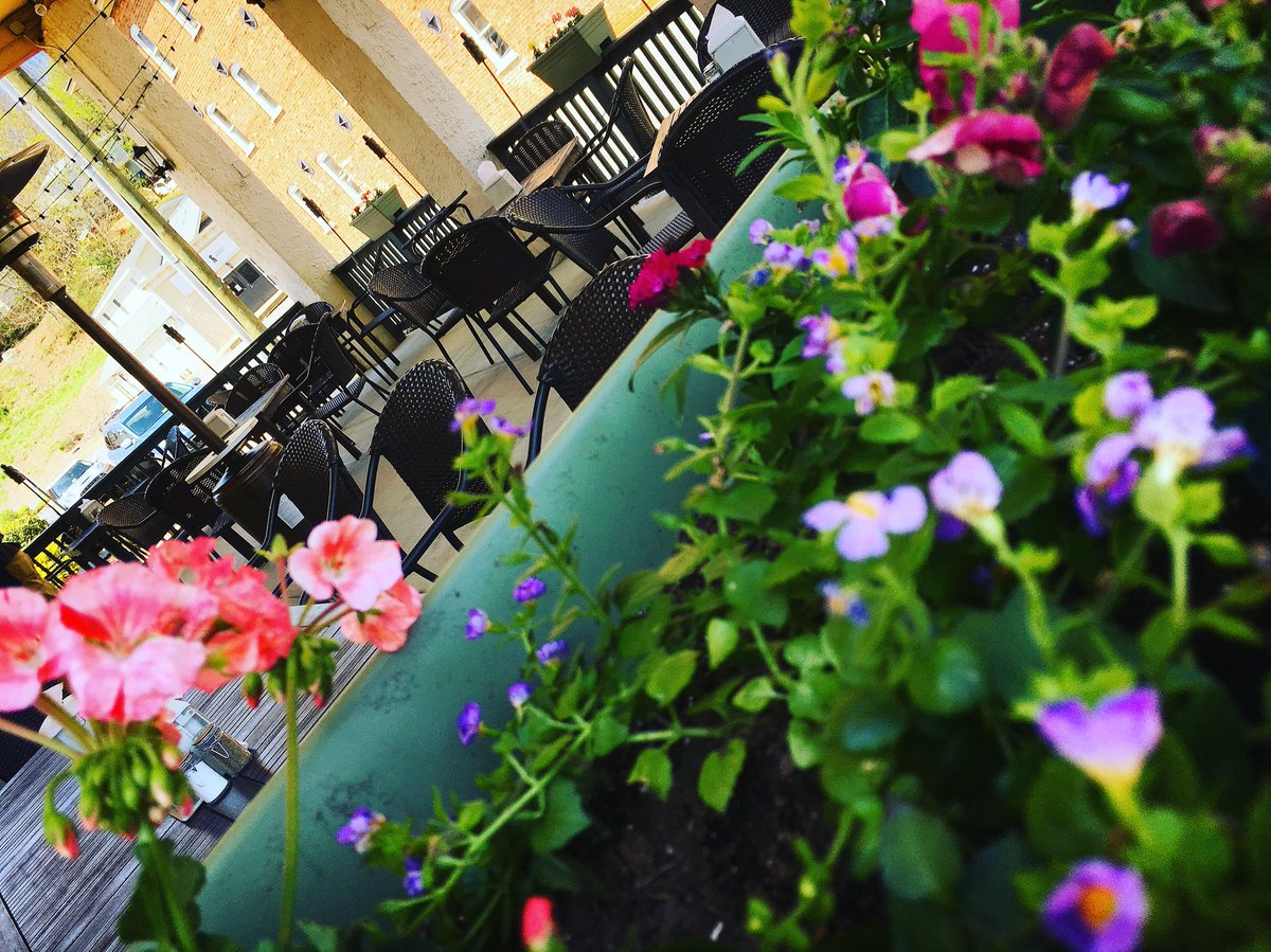 pariscakecomp's tweet photo. The start of patio season here! We know it’s a little chilly, but the sun is shinning!! ☀️ We have the heater on as well! Open until 9pm! #patioisopen #patioseason #patiolife #diningelfresco #flowers #coolbreezes #lights #tikitorches #table44 #pariscakecompany #lovestaunton https://t.co/vZnVWlthUm