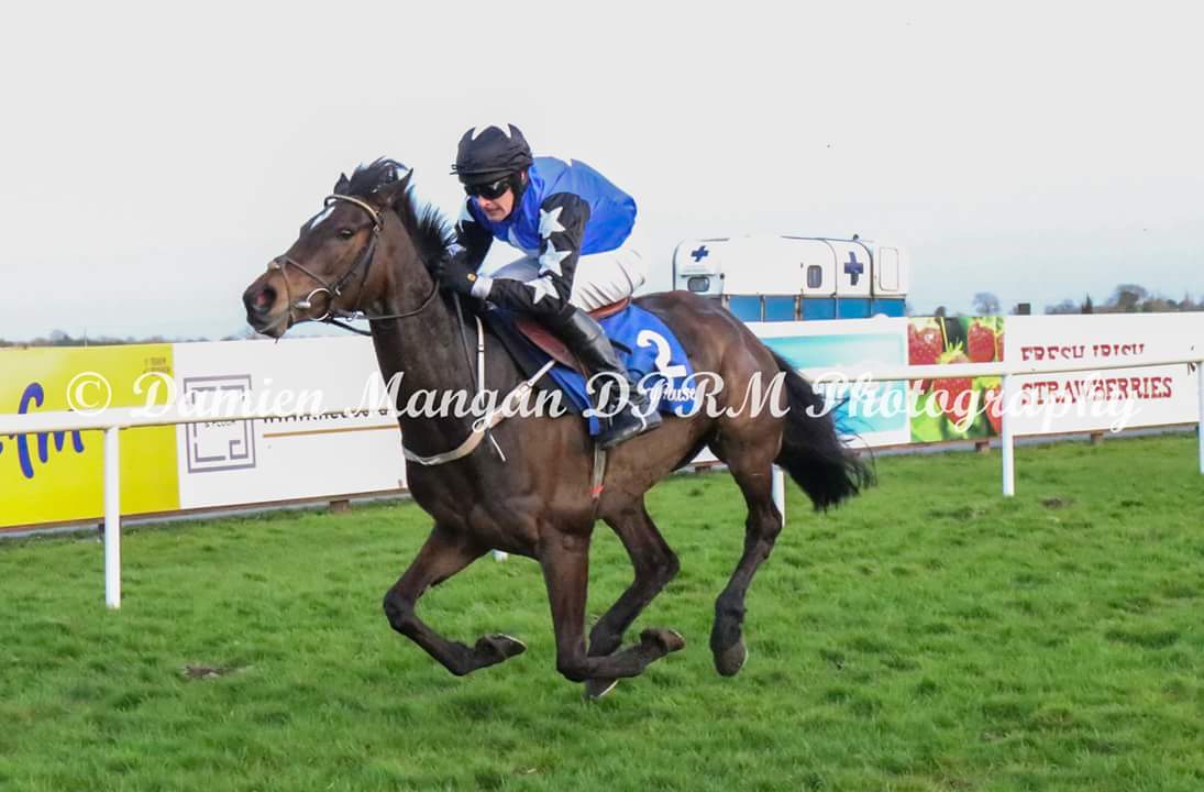 BlueBloodRacing's tweet photo. Super proud of this lady yesterday .. 2nd in a listed bumper @Fairyhouse ..her second run for us. Well have good fun with her and shes still learning the game!  #masonsdaughter #listed #sandmason https://t.co/GWjuDoB0Ln